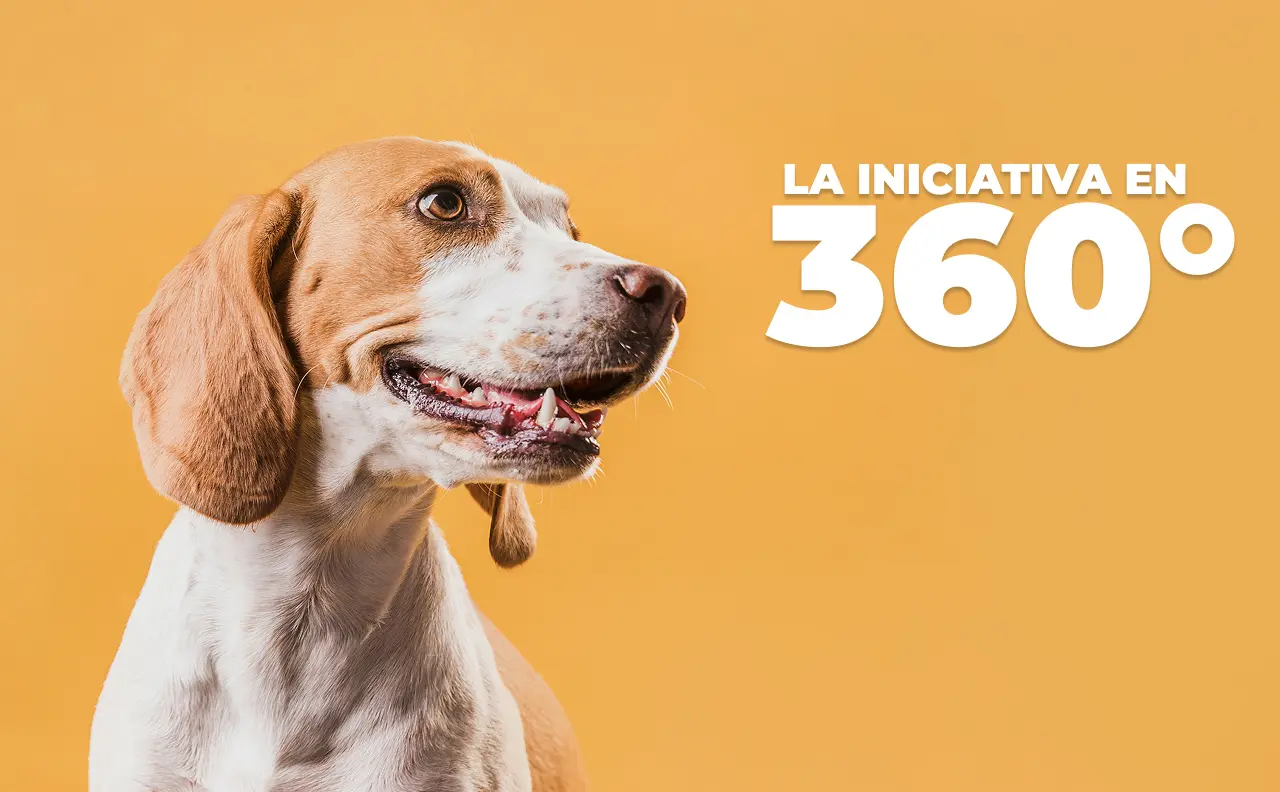 Subheader Iniciativa Imagen