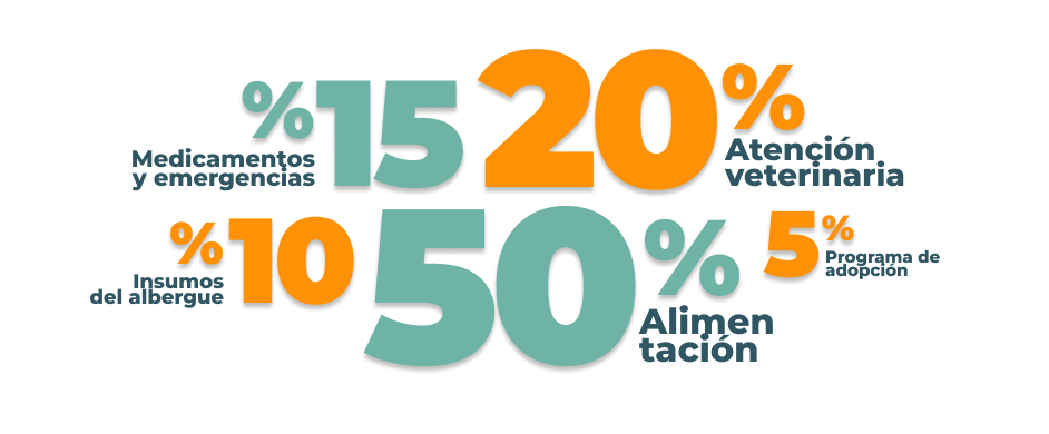 ¿A dónde va tu donación?